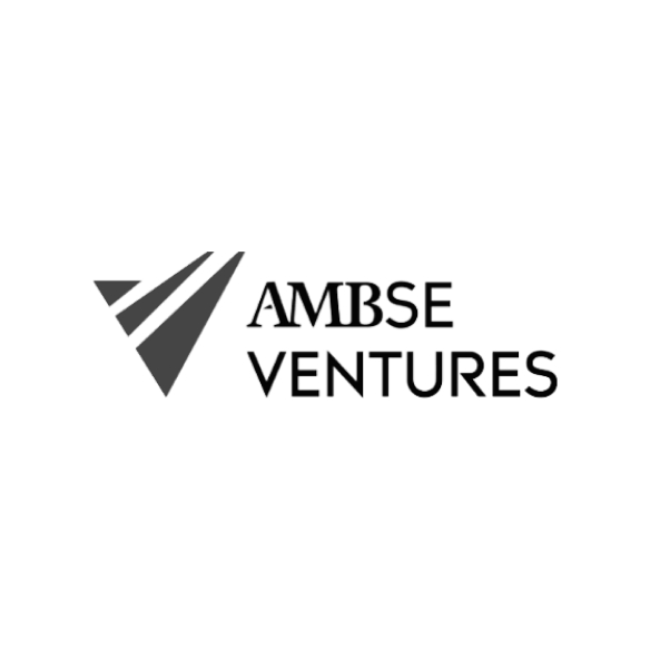 AMBSE Ventures